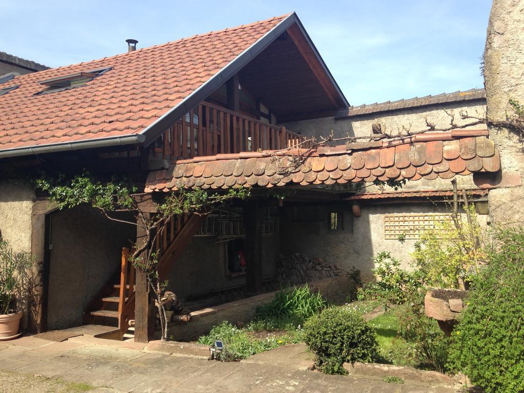 Le Nid De Cigognes Kintzheim Villa Rum bild